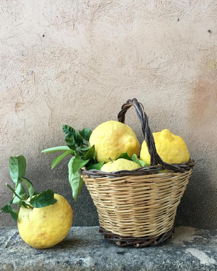 Masseria Caretti Grande Casalabate Eksteriør billede